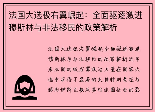 法国大选极右翼崛起：全面驱逐激进穆斯林与非法移民的政策解析